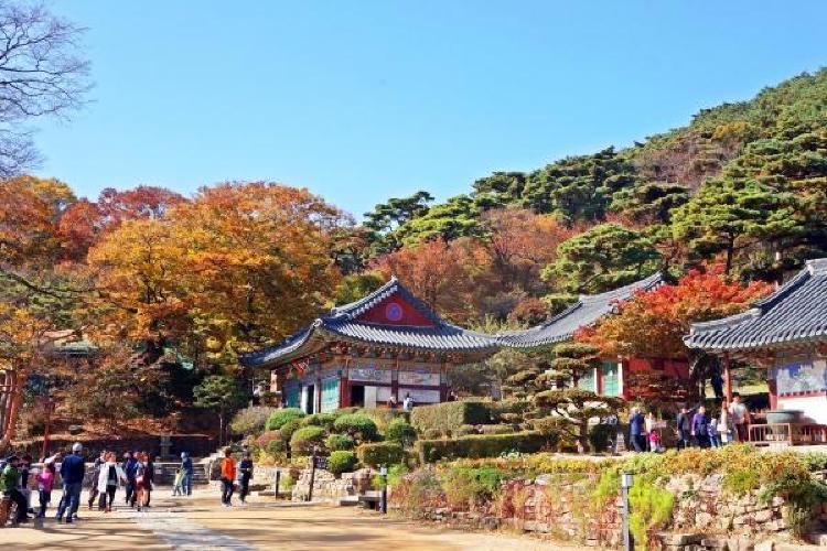 전등사