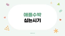 애플수박 심는시기 알려드려요, 작년 40통 수확한 제 꿀팁