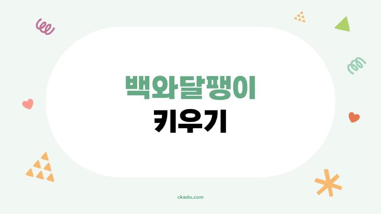백와달팽이 키우기, 6개월 만에 손바닥만해 폭풍성장 비밀