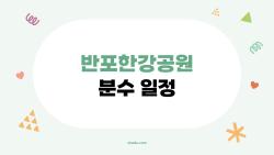 반포한강공원 분수 일정, 2026년 최신 시간표와 비가 오면 안 나온다는 사실 알고 가기 전에 꼭 확인하세요