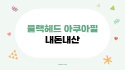 블랙헤드 아쿠아필 내돈내산, 5회 받고 충격 후기 대방출