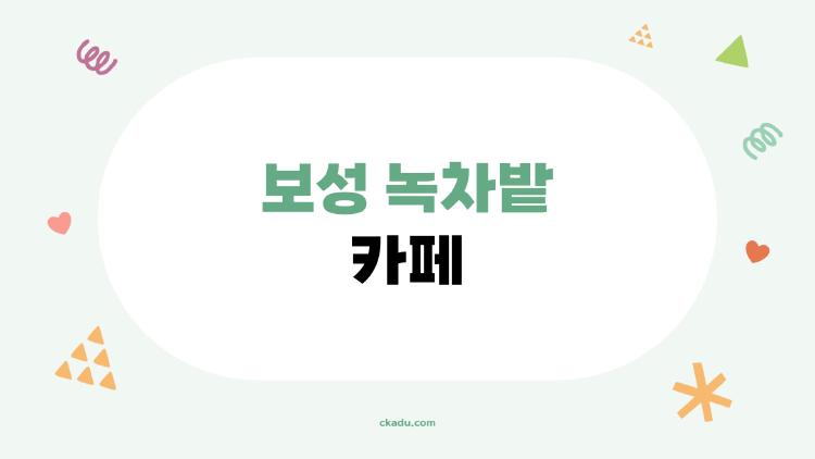 보성 녹차밭 카페