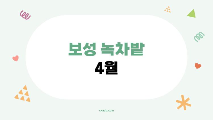 보성 녹차밭 4월