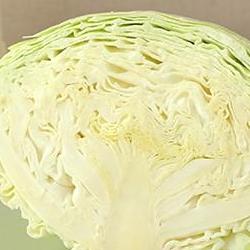 양배추 효능 높이는 방법, 3배로 폭발시키는 충격 보관법