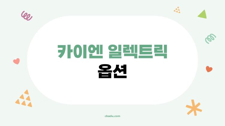 카이엔 일렉트릭 옵션