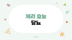 체리 효능 당뇨, 매일 10알로 혈당 잡는 법