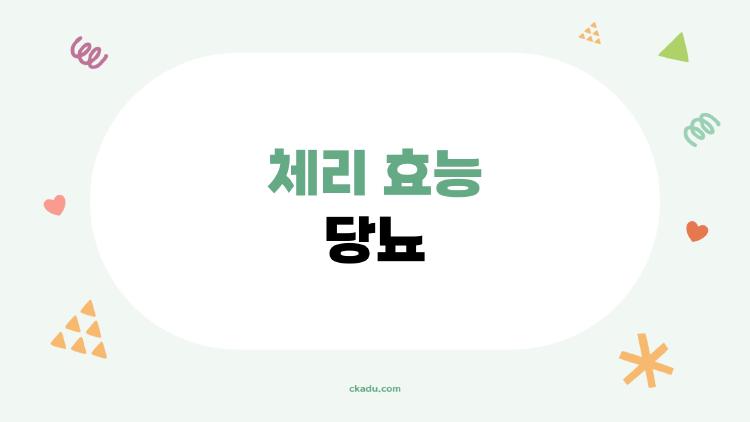 체리 효능 당뇨
