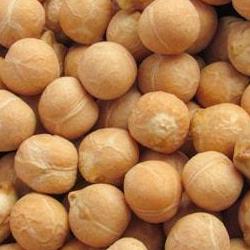 병아리콩 효능 영양성분, 다이어트 폭발적으로 성공한 비밀 무기 될까?