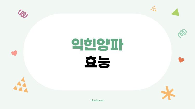 익힌양파 효능