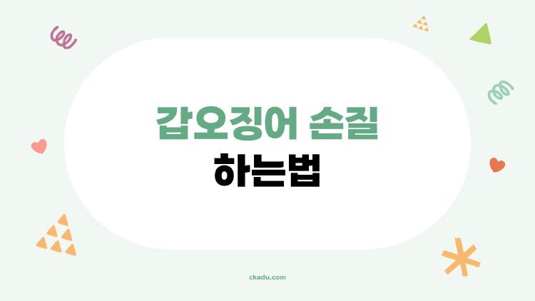 갑오징어 손질 하는법