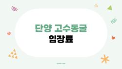 단양 고수동굴 입장료, 2026년 기준 요금과 할인 팁 다 모임