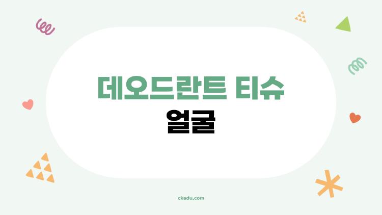 데오드란트 티슈 얼굴 써봤더니, 메이크업 무너짐 제로 후기