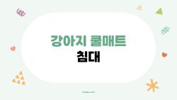 강아지 쿨매트 침대, 이거 하나면 여름에도 시원하게 잘 수 있을까