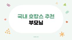 국내 호캉스 추천 부모님, 서울 근교 온천 리조트가 효도 여행 1순위로 떠오른 이유