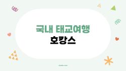 국내 태교여행 호캉스, 예비맘들이 알려주지 않는 속내