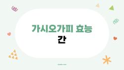 가시오가피 효능 간, 3개월 먹고 검사 결과 충격