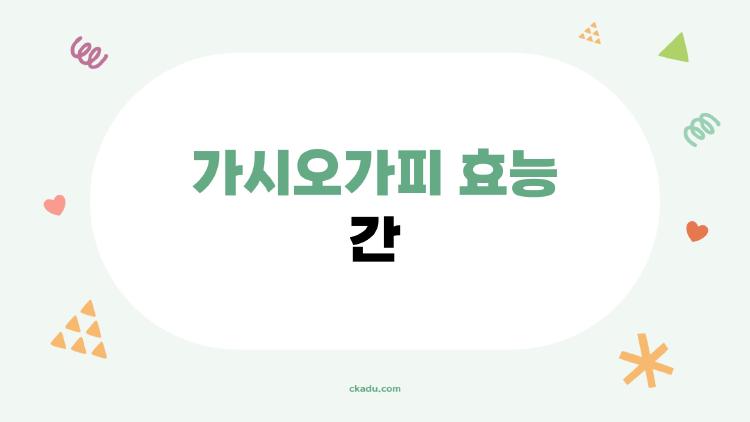 가시오가피 효능 간