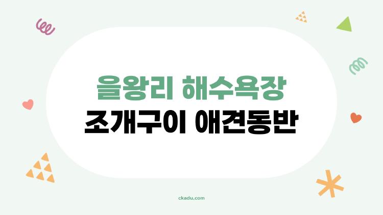 을왕리 해수욕장 조개구이 애견동반