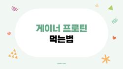 게이너 프로틴 먹는법, 2026년 마른 남자들이 살찌우는 진짜 비법