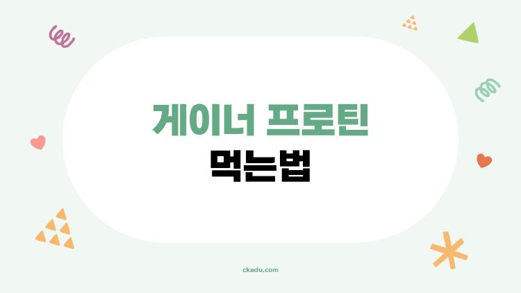 게이너 프로틴 먹는법