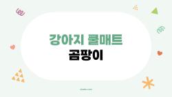 강아지 쿨매트 곰팡이, 내 반려견 안전한가요? 실화 후기와 예방법
