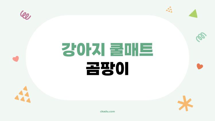 강아지 쿨매트 곰팡이, 내 반려견 안전한가요? 실화 후기와 예방법