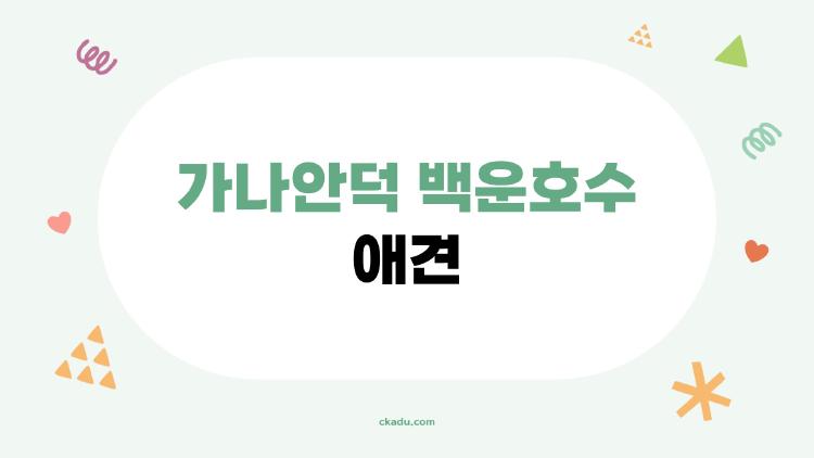 가나안덕 백운호수 애견