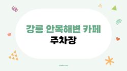 강릉 안목해변 카페 주차장, 주말에도 차 한 칸 남기지 않는 이유는?