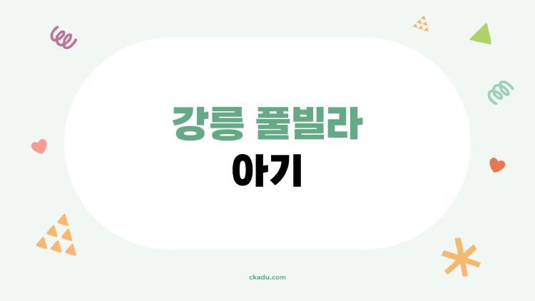 강릉 풀빌라 아기, 엄마들이 실제로 후회한 점 5가지