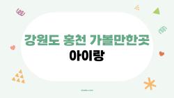강원도 홍천 가볼만한곳 아이랑, 알파카가 안기는 순간 눈물 날 뻔!
