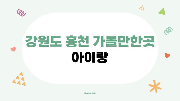 강원도 홍천 가볼만한곳 아이랑, 알파카가 안기는 순간 눈물 날 뻔!