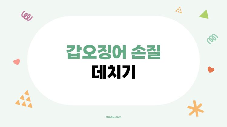 갑오징어 손질 데치기 15초 탱글 비법, 식당 맛 내기