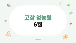 고창 청농원 6월, 보랏빛 바다에 빠져들까 봐 무서워요