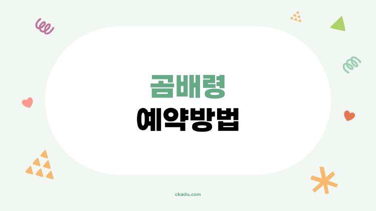 곰배령 예약방법