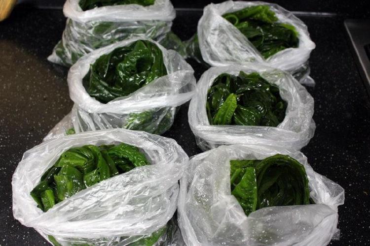 곰피 데치기 보관