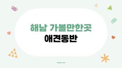 해남 가볼만한곳 애견동반, 강아지랑 둘이서 가면 더 좋은 비밀 명소 7곳
