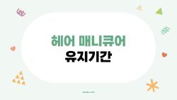 헤어 매니큐어 유지기간 금방 끝? 2026년 트렌드 팁으로 2개월 버텨봤어요