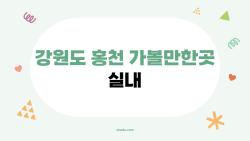 강원도 홍천 가볼만한곳 실내, 날씨 탓에 망친 여행 살려낸 숨은 명소들