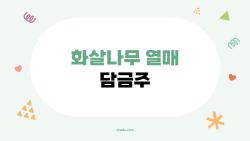 화살나무 열매 담금주, 예쁜 열매 속 숨겨진 독