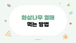 화살나무 열매 먹는 방법, 독한 거 맞아? 먹었다가 후회한 사연