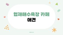 협재해수욕장 카페 애견, 이 카페만 알면 제주 여행 완성