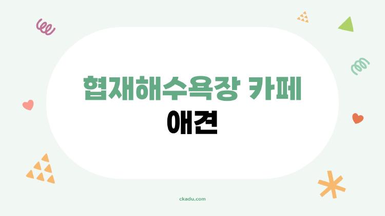 협재해수욕장 카페 애견, 이 카페만 알면 제주 여행 완성