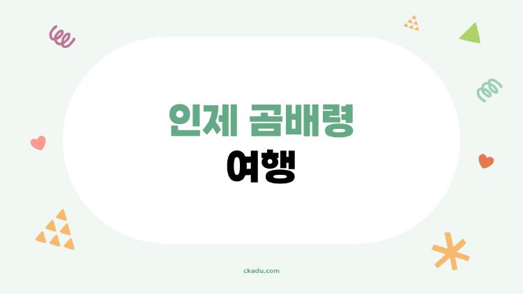 인제 곰배령 여행, 예약 없이 못 가는 진짜 이유