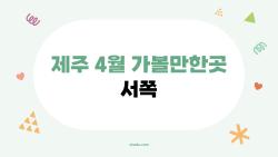 제주 4월 가볼만한곳 서쪽, 유채꽃 만개한 비밀 해변들 폭발