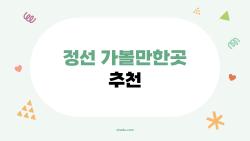 정선 가볼만한곳 추천, 2026 메밀전병축제가 미쳤대요!