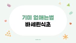 기미 없애는법 바세린식초, 진짜 효과 있을까? 2026년 최신 정보
