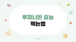 루피니빈 효능 먹는법, 배고픔 없이 5kg 감량 성공기