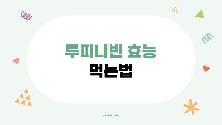 루피니빈 효능 먹는법, 배고픔 없이 5kg 감량 성공기