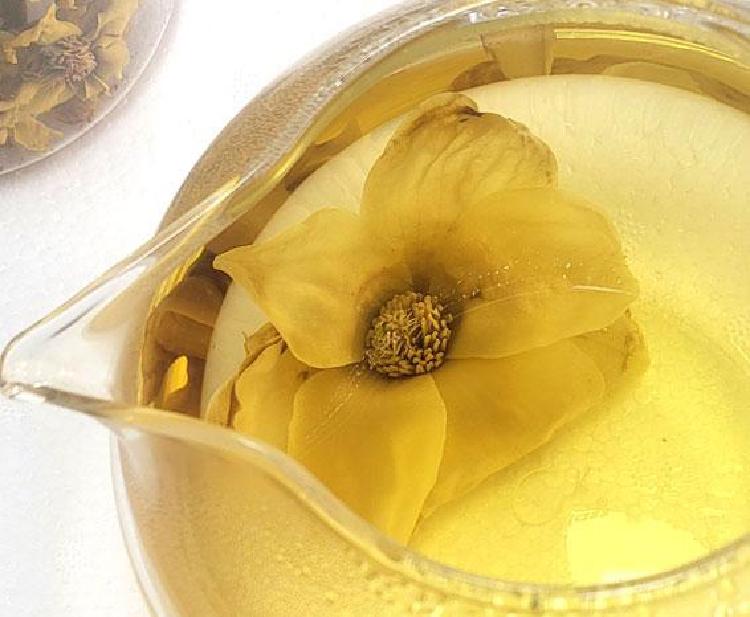 목련차 임산부, 마셔도 돼? 솔직 후기 공개