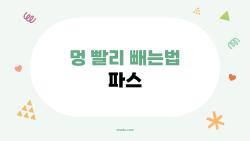 멍 빨리 빼는법 파스, 진짜 도움이 될까? 파스 덕후가 헷갈리던 것들 정리